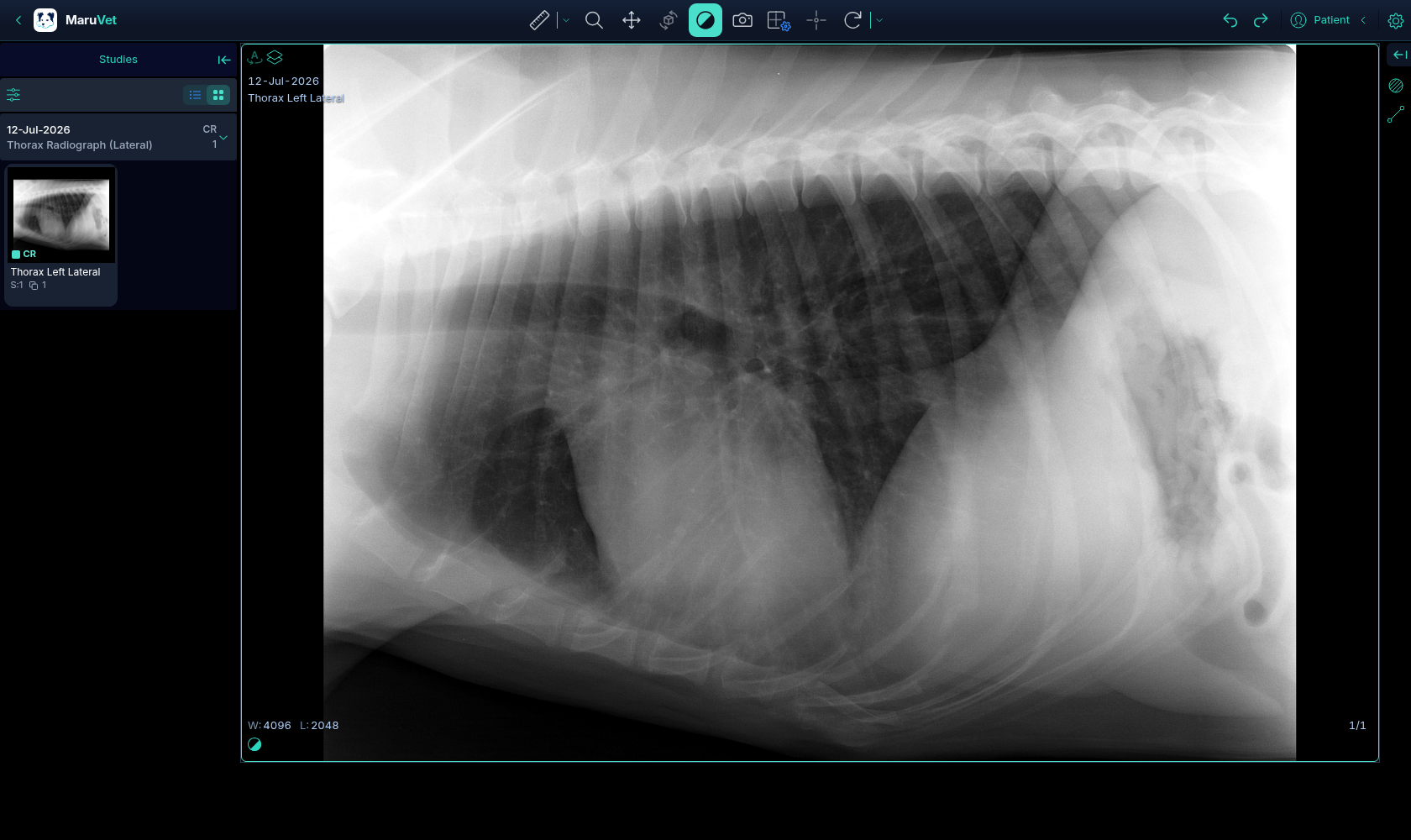 MaruVet web viewer — reading a real canine lateral thoracic radiograph in the browser